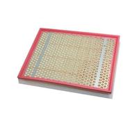 AUTOMEGA 180021810 Filtre à air du moteur rectangulaire Cartouche filtrante avec préfiltre