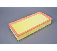 AUTOMEGA 180034310 Filtre à air du moteur Cartouche filtrante