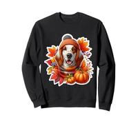 Automne Automne Anglais Setter Chien Propriétaire Amoureux Citrouille Vintage Sweatshirt