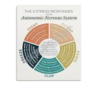 Autonomic Nervous System Chart Stress Response Diagram Educational Metal Sign for Therapists Counselors Psychology Office Decor 8 X 12 in