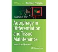 Autophagy in Differentiation and Tissue Maintenance: Methods and Protocols (Methods in Molecular Biology) - [Livre en VO] Kursad Turksen (Auteur)