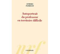 Autoportrait Du Professeur En Territoire Difficile