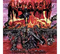 Autopsy – Puncturing the Grotesque – Vinyle LP