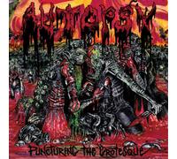Puncturing the Grotesque