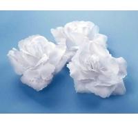 Autoschmuck, 24 roses blanches, Décoration mariage