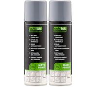 Autotek Professional Apprêt antirouille à base de zinc formulé avec expertise professionnelle, apprêt gris antirouille, 300 ml (Lot de 2)