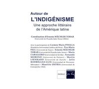 Autour De L'indigénisme - Une Approche Littéraire De L'amérique Latine