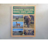 Autruches, sangliers, bisons, cerfs, lamas.... Les nouveaux élevages