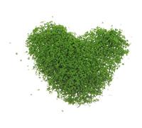 AUTSUPPL Poudre de Mousse Verte Réaliste 3 Paquet 60g Matériau pour Modélisme Bonsaï, Flocage Arbre Miniature, Décoration Paysage pour Trains Miniatures et Dioramas