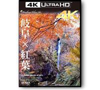 × Autumn Leaves Of Gifu ×4k 3840×2160 Pixel [Blu-Ray]