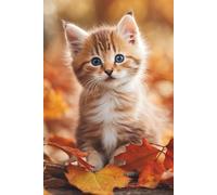 Autumn Reflections: A Cozy Gratitude Journal for Thankful Thoughts | Cute Kitten Aesthetic: 120 Alternating prompts and lined pages, 6 x 9 inches, ... motif on interior pages, gift idea, self care