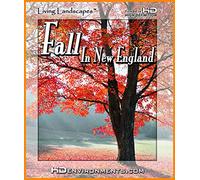 Autumn Splendor
