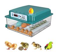 Auveach Incubateur d'oeufs automatique Incubateur pour 16 oeufs de poule Contrôle automatique de la température Tournage automatique des oeufs Double conception électrique