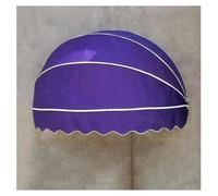 Auvent de porte pliable en toile avec cadre galvanisé, abri résistant aux intempéries pour terrasse, balcon et protection extérieure