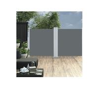 Auvent latéral rétractable Anthracite 120 x 600 cm
