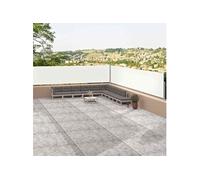 Auvent Latéral Rétractable Anthracite 160x1000 cm Protection Store vidaXL