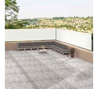 Auvent Latéral Rétractable Anthracite 160x1000 cm Protection Store vidaXL