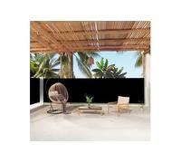 Vidaxl Auvent Latéral Rétractable Noir 160x1000 Cm Noir