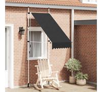 Vidaxl Auvent Manuel Rétractable 100 Cm Anthracite