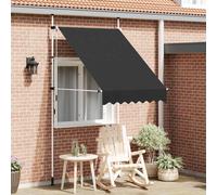 Vidaxl Auvent Manuel Rétractable 100 Cm Anthracite