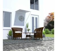 Auvent Rétractable 300x150 cm Anthracité Store Pare Soleil Jardin vidaXL