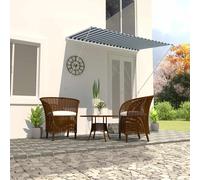 Auvent Rétractable 300x150 cm Anthracité Store Pare Soleil Jardin vidaXL
