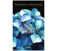 Aux Endroits Brisés