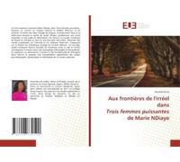 Aux Frontières De L'irréel Dans Trois Femmes Puissantes De Marie Ndiaye