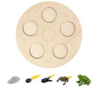 AUYXSSZ Simulation Insecte Croissance Modèle Éducation,Type 1 | Accessoires