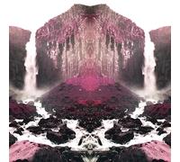 Tusks – Avalanche – Vinyle 12" (analogique)
