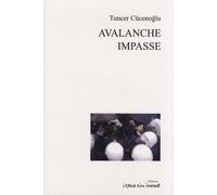 Avalanche Et Impasse