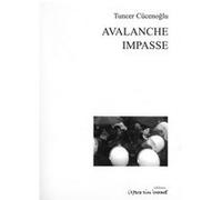 Avalanche Et Impasse