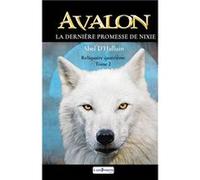 AVALON La dernière promesse de Nixie : Reliquaire quatrième tome 2 Abel d'halluin (Auteur)