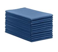 Avalon Lot de 12 serviettes de nettoyage chirurgicales 100 % coton, non pelucheuses, multi-usages, parfaites pour les hôpitaux et la maison (40,6 x 68,6 cm, bleu)