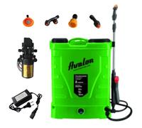 Avalon - Pulvérisateur à dos de 2 lances Pack avec chargeur et pompe de rechange, batterie rechargeable, réservoir 16 l, vert
