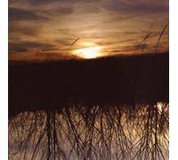 Avalon [Us Import] by Anthony Green (2008-08-05)