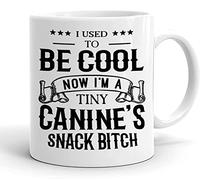 Avant J'Étais Cool, Maintenant Je Suis Le Jouet D'Un Petit Chien - Un Amoureux Des Chiens Drôle Tasse À Café Céramique Tasse À Thé Drôle Mug Idée Cadeau Pour Pâques Anniversaire Collègue 330ml