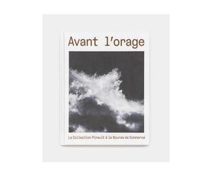 Avant l’orage - Emma Lavigne - Dilecta Eds - relié - Beau livre