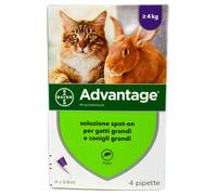 Avantage Spot-On 80 MG 4 Pipettes