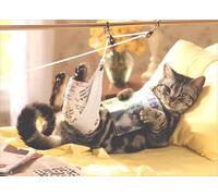 Avanti Press Carte de rétablissement mignonne et amusante Chat en traction