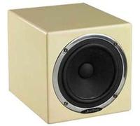 Avantone Pro Active MixCube moniteur de référence noir (la pièce)