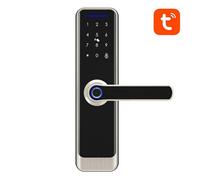 Avatto - ZSDL-A270-S-ALI-5572 - Serrure de porte numérique