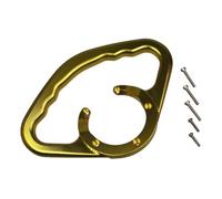 avdb-Moto Poignée Passager Compatible avec Triumph Daytona 955I T595 1997-2001, Daytona 955I 2002-2003, Sprint RS 955 FI 1999-2004, Sprint 900 1991-1998, Trophy 1200 1996-2002 en Aluminium (Or)