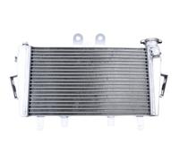 avdb-moto Radiateur d'Eau compatible avec TRIUMPH TIGER 1050 2007-2012 Type Racing