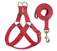 avec Étiquette Id Tag Personnalisable Réglable Anti-perdant PU en Cuir en Cuir PU Walking Harness Lash Set pour Shiba Inu Bulldog Poodle Beagle,Rouge,S