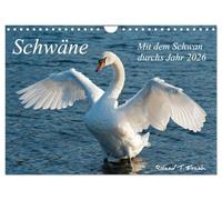 Avec le cygne à travers l'année 2025, Version française (Calendrier mural 2026 DIN A4 portrait), Calendrier CALVENDO mensuel