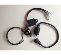 Avec magnéto bobine d'allumage allumeur adapté for TIGER ET950 ET650 IE45 TG950 450W 650W 800W 950W 1kw générateur Remplacement des accessoires (Color : 3pcs per set)