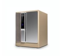 , avec Mot Passe par Empreinte Digitale, Coffre-Fort antivol pour Armoire cachée Domestique, protège Documents en espèces, Bijoux Les Objets de Valeur, adapté aux Voyages Professionnels au Bureau à
