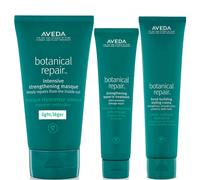 Aveda Botanical Repair Bundle