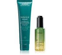 Aveda Styling Set ensemble